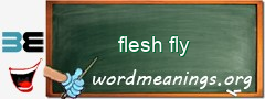 WordMeaning blackboard for flesh fly